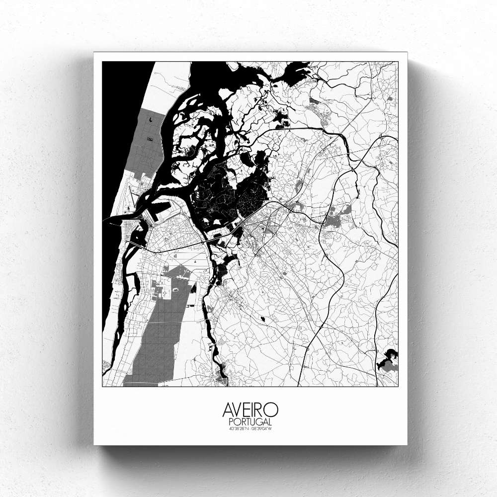 Mapospheres Aveiro B&W canvas city map