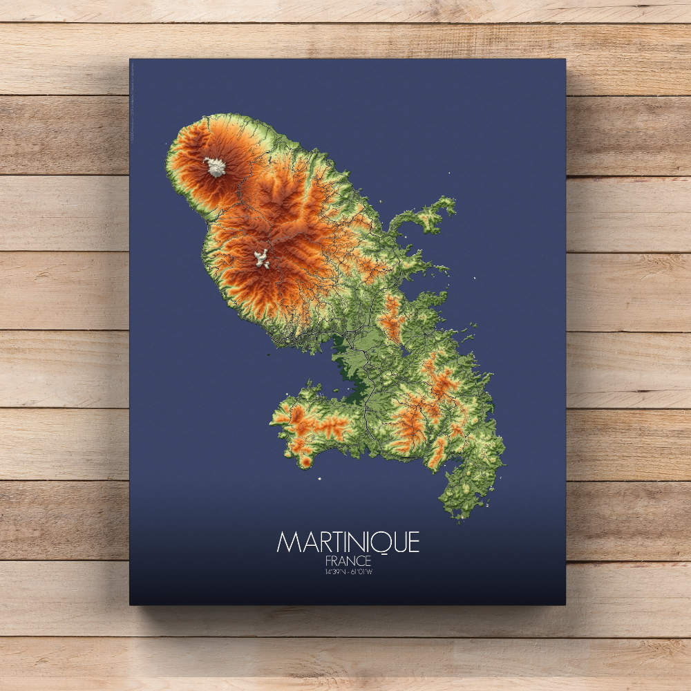 Mapospheres La Martinique Elevation map Full page design canvas city map