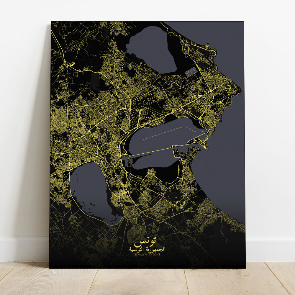 Mapospheres Tunis Night full page design canvas city map