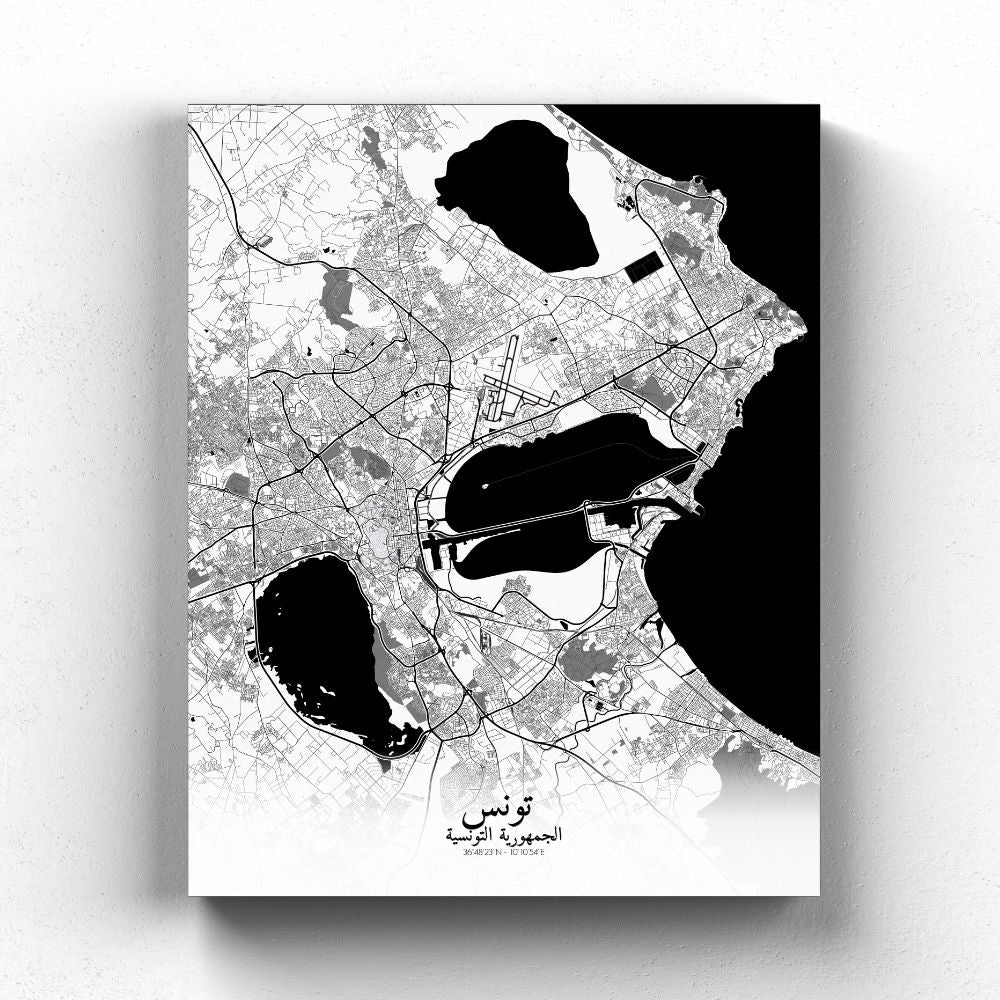 Mapospheres Tunis Black and White full page design canvas city map