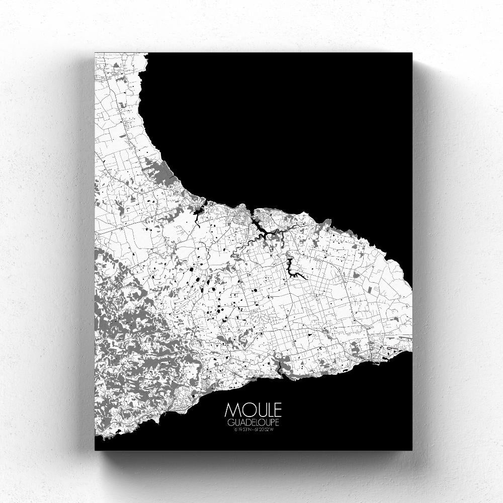 Mapospheres Moule Black and White full page design canvas city map