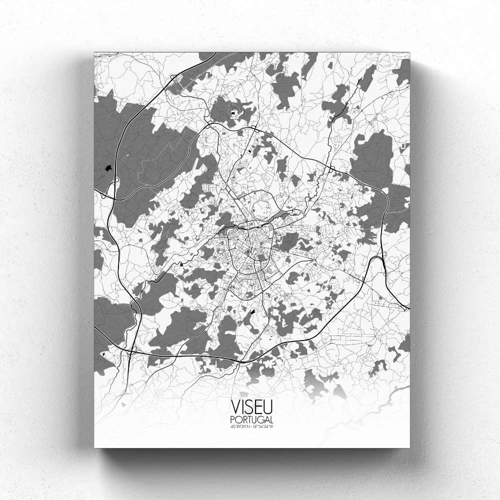 Mapospheres Viseu Black and White full page design canvas city map