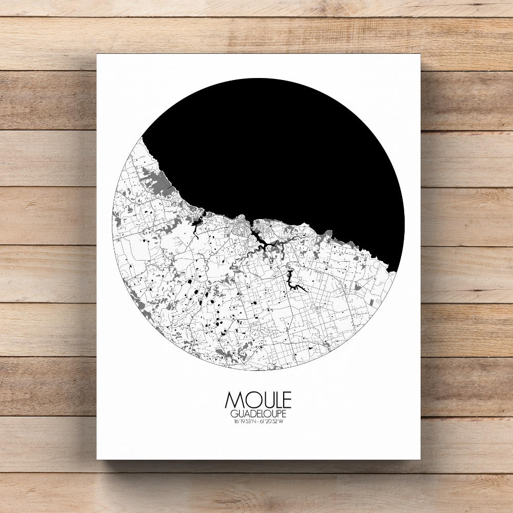 Mapospheres Moule Black and White  round shape design canvas city map