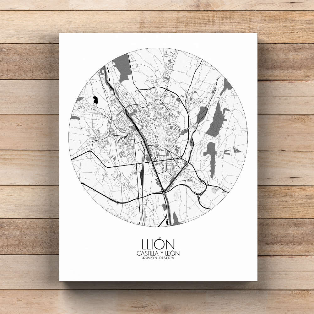 Mapospheres Leon Black and White  round shape design canvas city map