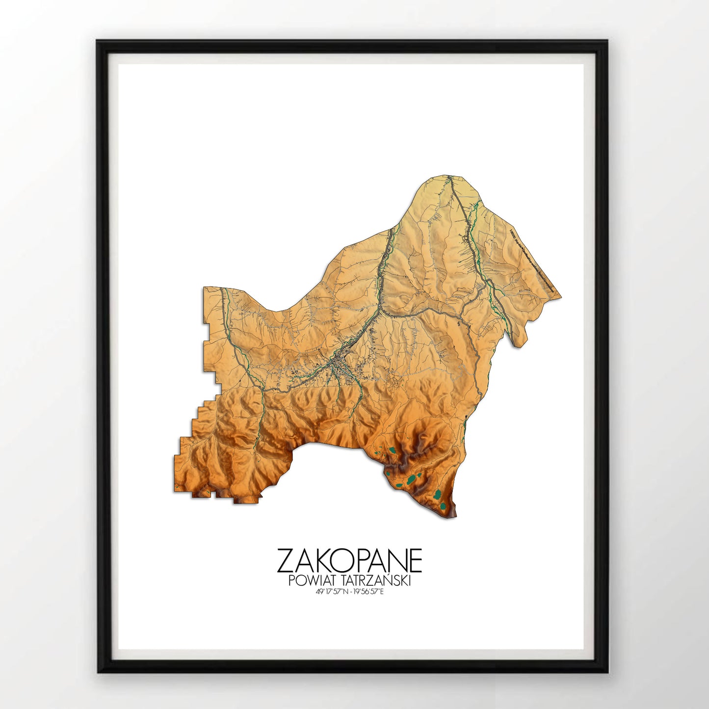 Poster of Zakopane Poland | Elevation map